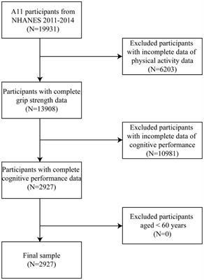 Exploring the association of physical activity on cognitive function in older adults from observational and genetic insights: a combined NHANES and Mendelian randomization study